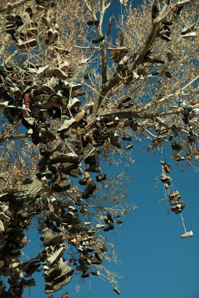 “The Shoe Tree”