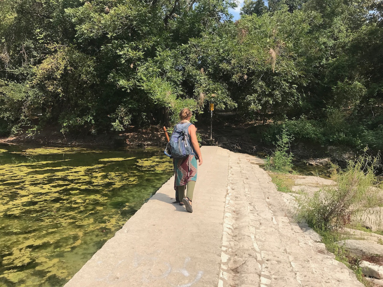 2019-9-18-Sanctuary-of-Trees-2 2019-9-18-Sanctuary-of-Trees-2