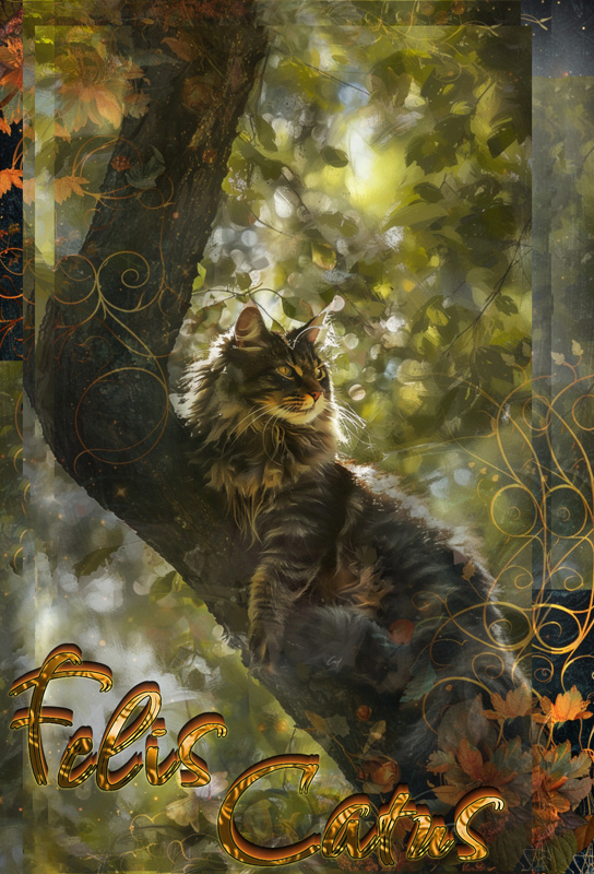 Felis Cat